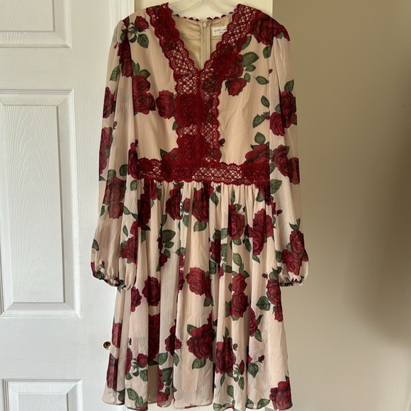 Rachel Parcell dress - Picture 3 of 9